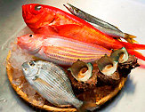 熱海温泉 ホテル貫一