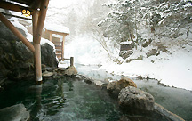 湯西川温泉 本家伴久