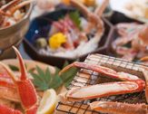 さぎの湯温泉 さぎの湯荘