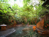 原鶴温泉 泰泉閣