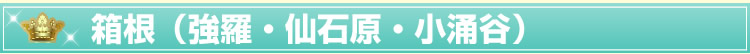 箱根(強羅・仙石原・小涌谷)