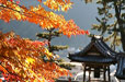 下呂温泉 和みの畳風呂物語の宿 小川屋