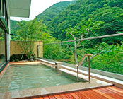 中川温泉 信玄館