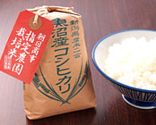 ホテル法華クラブ新潟・長岡