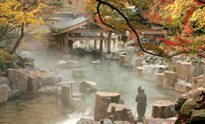 宝川温泉汪泉閣