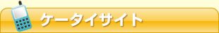 �P�[�^�C�T�C�g