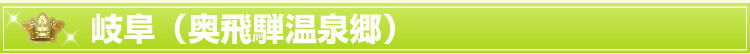 岐阜(奥飛騨温泉郷)