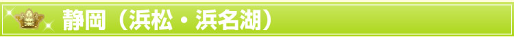 静岡(浜松・浜名湖)