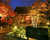 湯の川温泉 湯宿 草菴