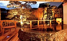さぎの湯温泉 さぎの湯荘