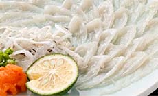 湯田温泉 ホテル松政
