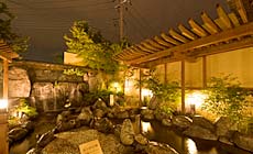 河口湖温泉 湯けむり富士の宿 大池ホテル
