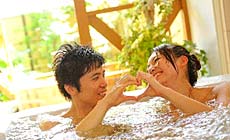 ヒーリングイン ホワイトペンション