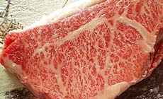 信州しもすわ温泉 ぎん月