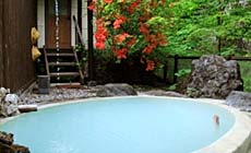 つり橋の宿 山水観 湯川荘
