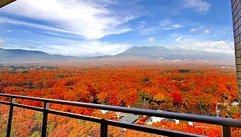 那須温泉 ホテルエピナール那須