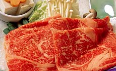 まごころの宿 丸井