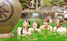 小涌谷温泉 箱根小涌園ユネッサンイン