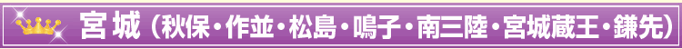 宮城(秋保・作並・松島・鳴子・南三陸・宮城蔵王・鎌先)