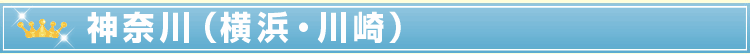 �_�ސ�i���l�E���j