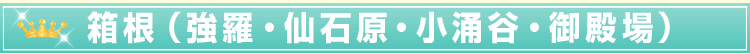 箱根(強羅・仙石原・小涌谷・御殿場)