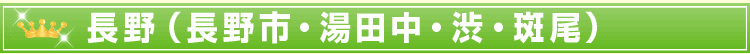 長野(長野市・湯田中・渋・斑尾)
