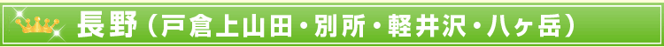 長野(戸倉上山田・別所・軽井沢・八ヶ岳)
