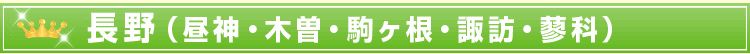 長野(昼神・木曽・駒ヶ根・諏訪・蓼科)