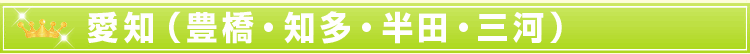 愛知(豊橋・知多・半田・三河)