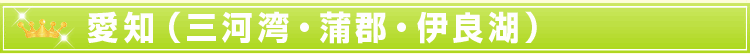 愛知(三河湾・蒲郡・伊良湖)