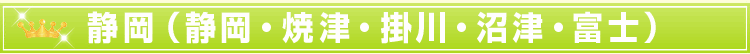 静岡(静岡・焼津・掛川・沼津・富士)