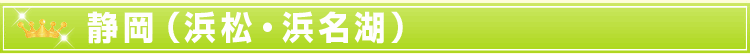 静岡(浜松・浜名湖)
