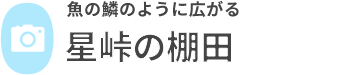 星峠の棚田