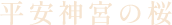 平安神宮の桜