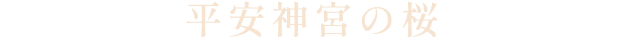平安神宮の桜