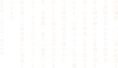 平安神宮の桜