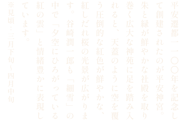 平安神宮の桜