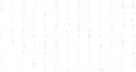東寺の紅葉