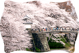 村山エリア