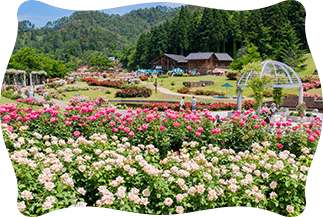 村山エリア
